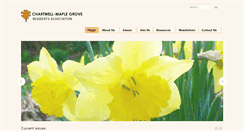 Desktop Screenshot of cmgra.org